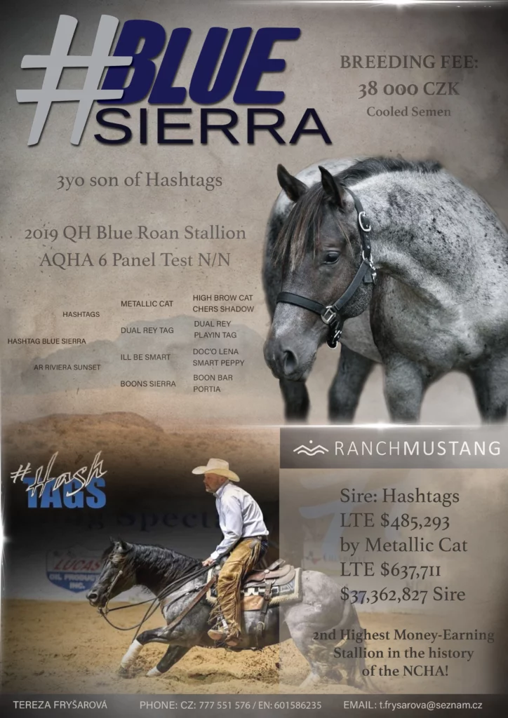 Plakát Hashtag Blue Sierra